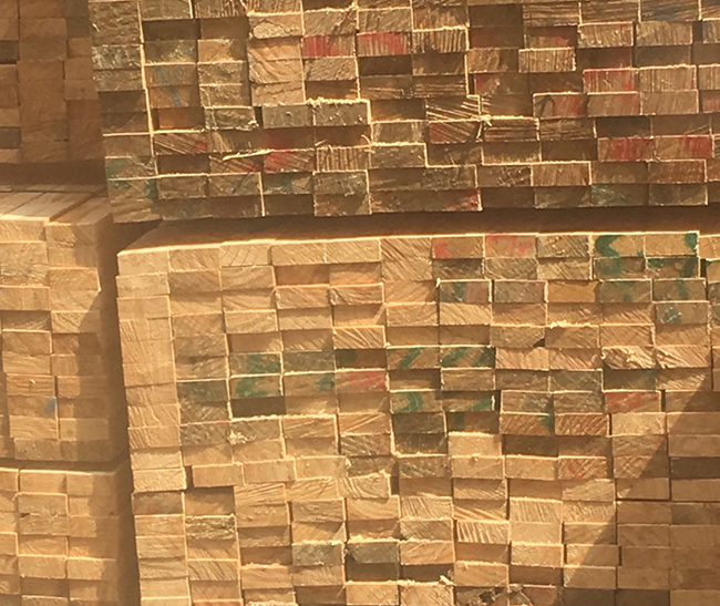 广州新西兰进口松木